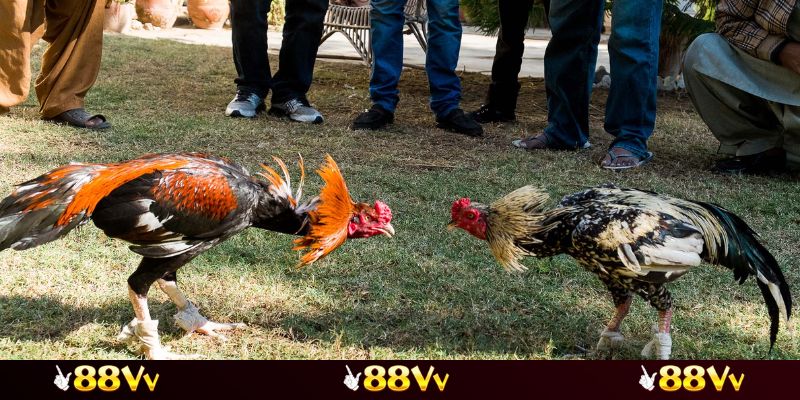 Truy cập tại nền tảng